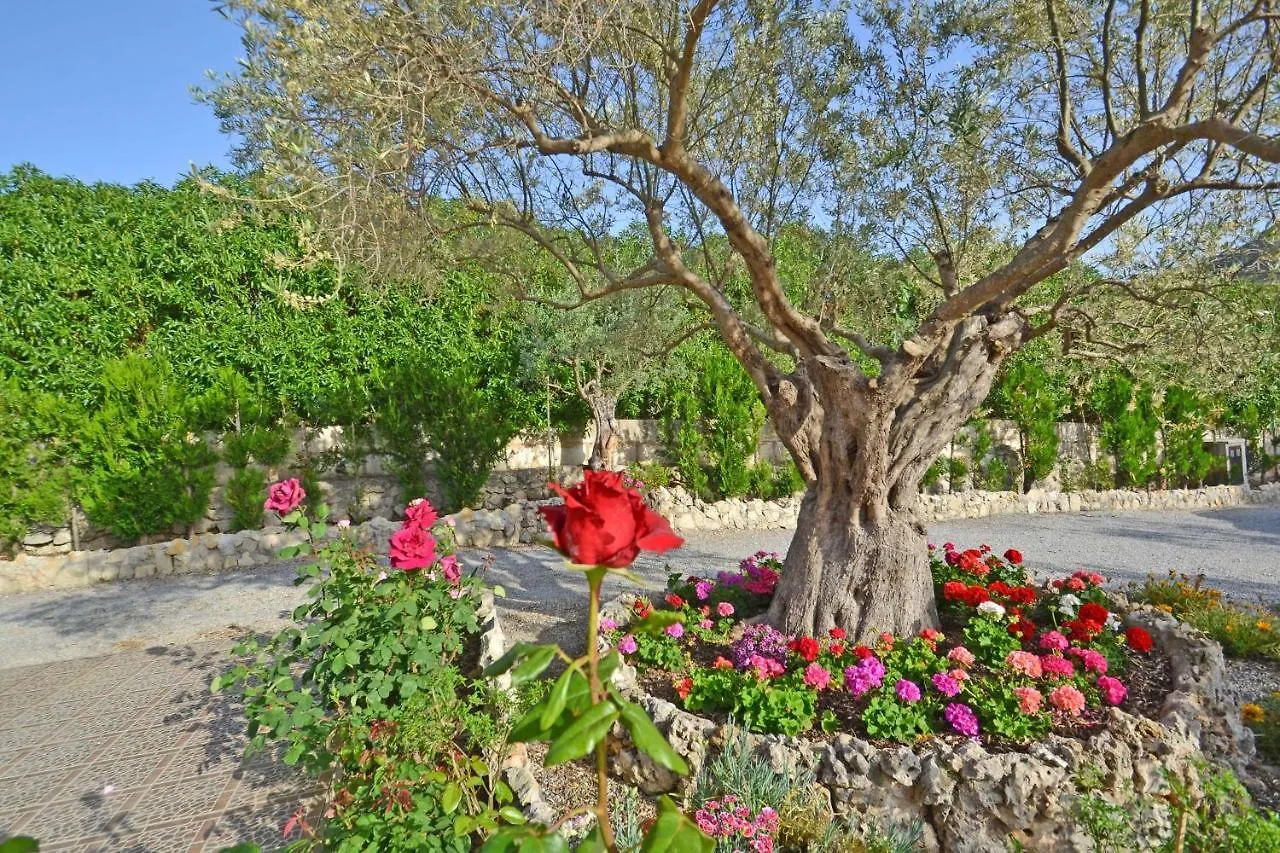 Casa Maria Βίλα Αλκούδια