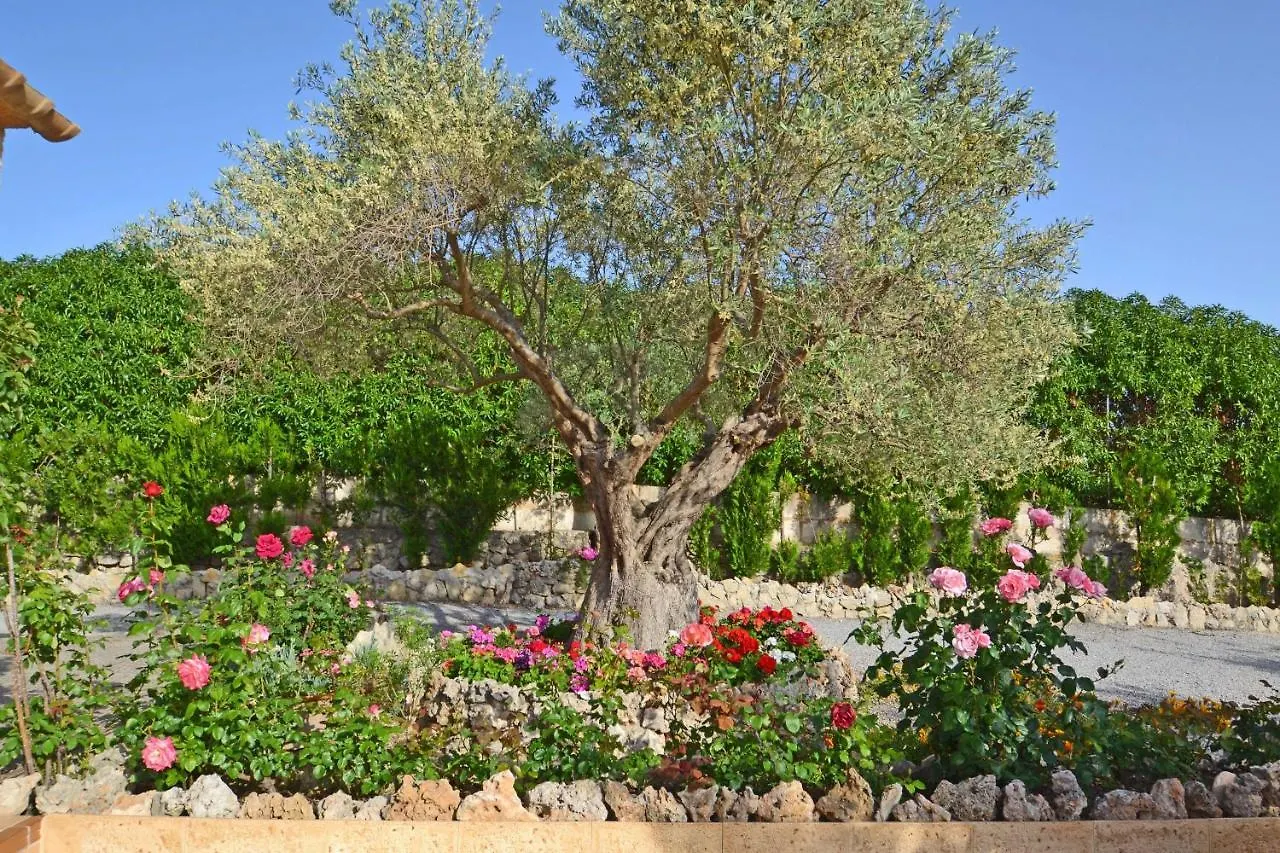 Casa Maria Βίλα Αλκούδια 0*,